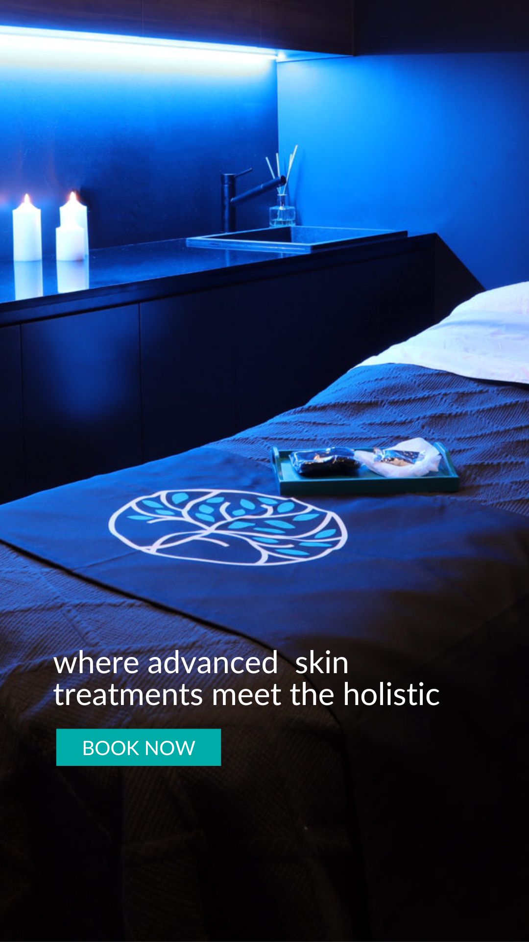 the Temple Skincare & Spa is where advanced skin treatments meet the holistic. (2560 × 600 px) (Instagram Story)
